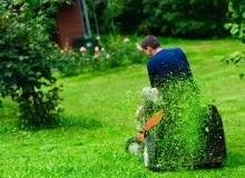 Kwikfynd Lawn Mowing
pureba