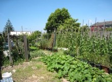 Kwikfynd Vegetable Gardens
pureba